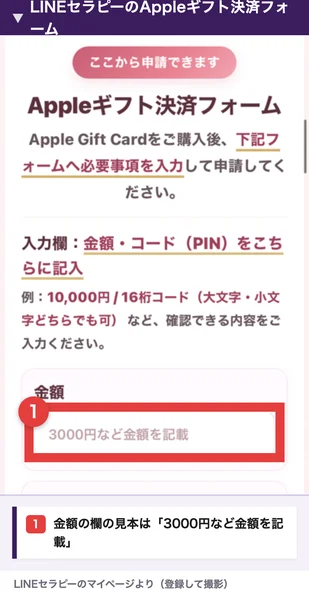 LINEセラピーのAppleギフト決済フォーム。Apple Gift Cardを購入後、フォームに金額とコード(PIN)を入力して申請する、金額の欄の見本は3000円など金額を記載