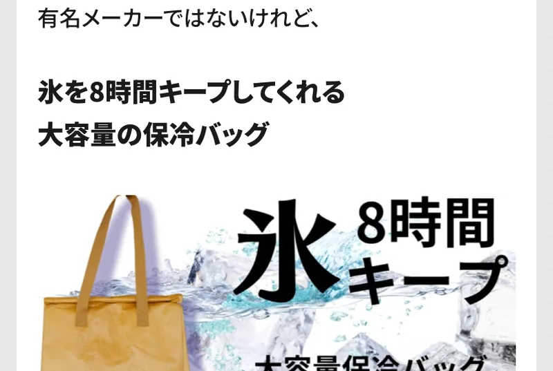 クラファンビジネスの広告。有名メーカーではないけれど、氷を8時間キープしてくれる大容量の保冷バッグという商品の例が写真つきで並んでいる
