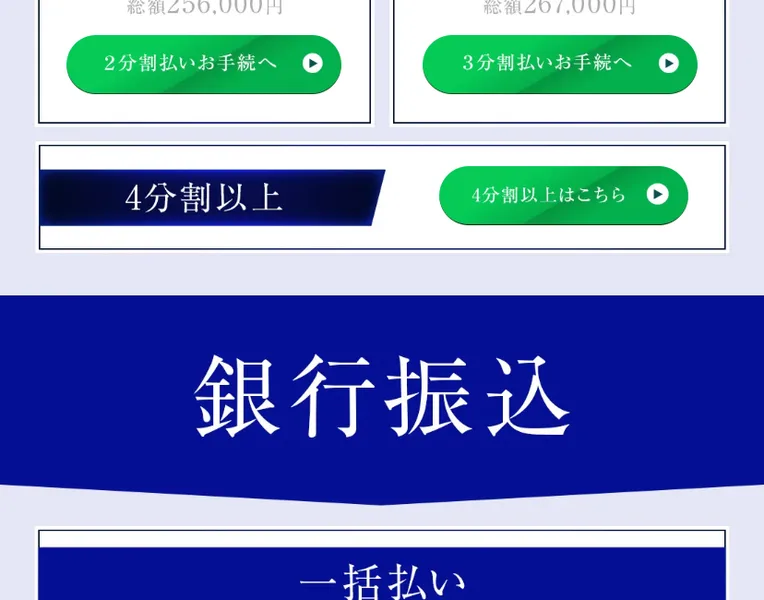 LIGHTNINGのお申込みページの分割払いの欄。2分割払いは月々128,000円、3分割払いは月々89,000円と表示され、その下に4分割以上の案内と銀行振込の欄が続いている
