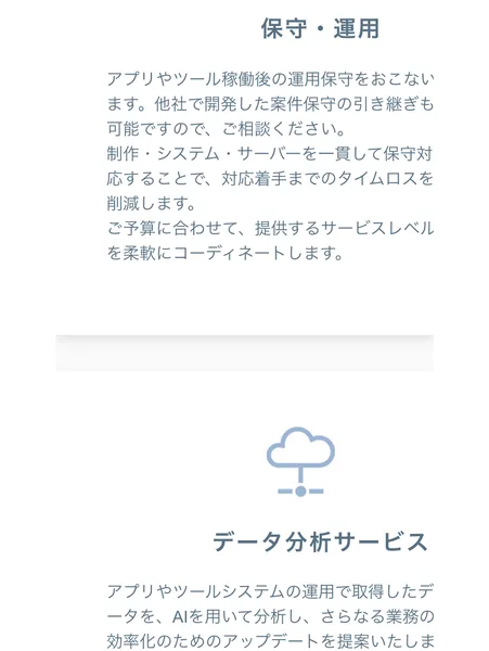 Amasism株式会社の公式サイトのサービス紹介。ツール開発として自社で企画した物販や物流の省力化を目的としたツールを開発すると書かれ、保守・運用、データ分析サービスが続いている